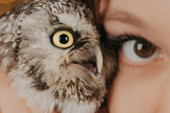 CasinoCasino Casino Soporte